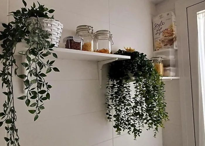 Apartmán Pedregales 1 Estepona